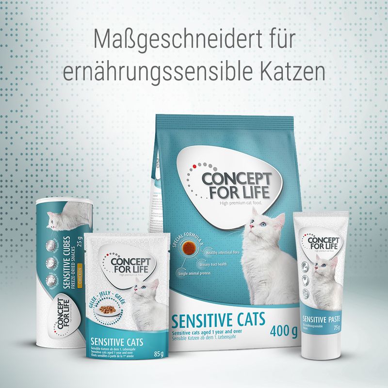 Concept for Life Sensitive Cubes zu TOP-Preisen