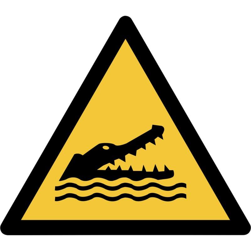 Djois Warnschild Warnung Achtung Krokodile Klebstoff, einschraubbar PP (Polypropylen) 30 (B) x 0,14 (H) cm 3 Stück