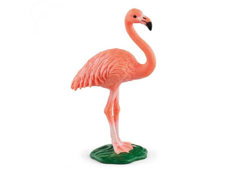 Flamant rose