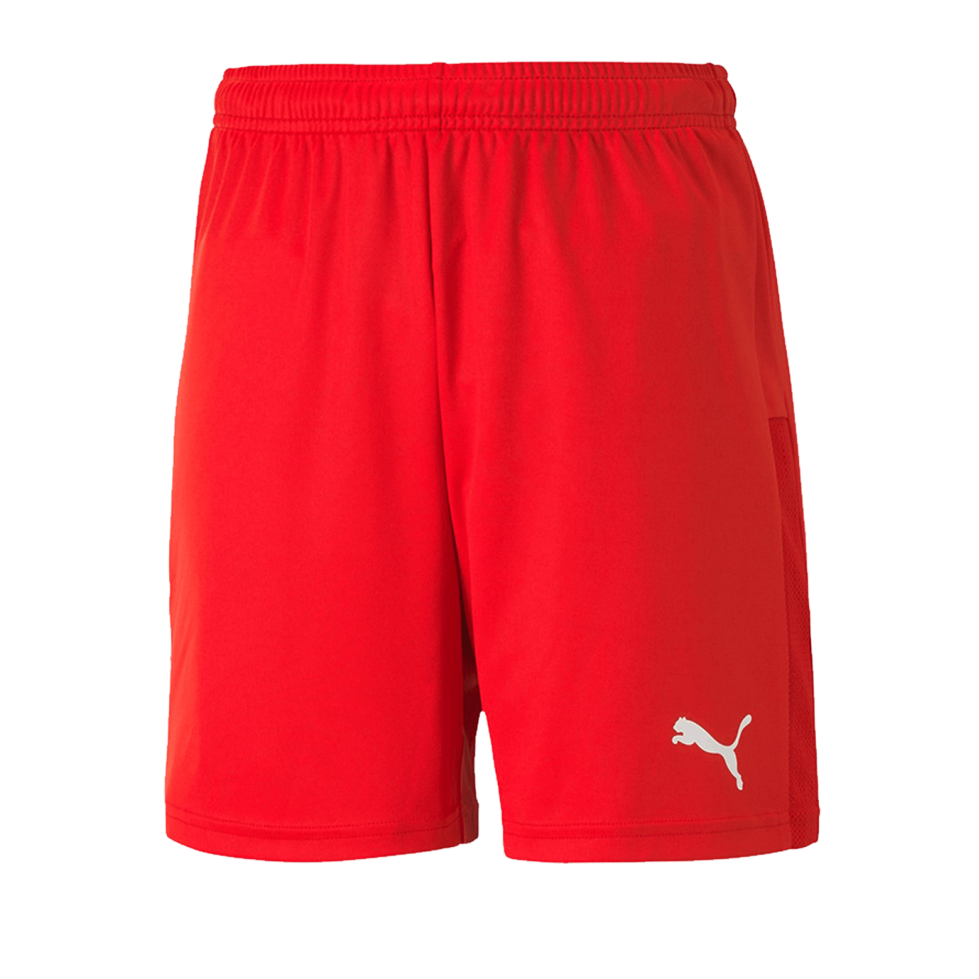 PUMA teamGOAL 23 Knit Short Kids Rot F01