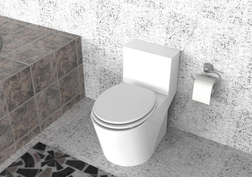 K&H Sanitary Duschwell MDF WC-Sitz Casso weiß
