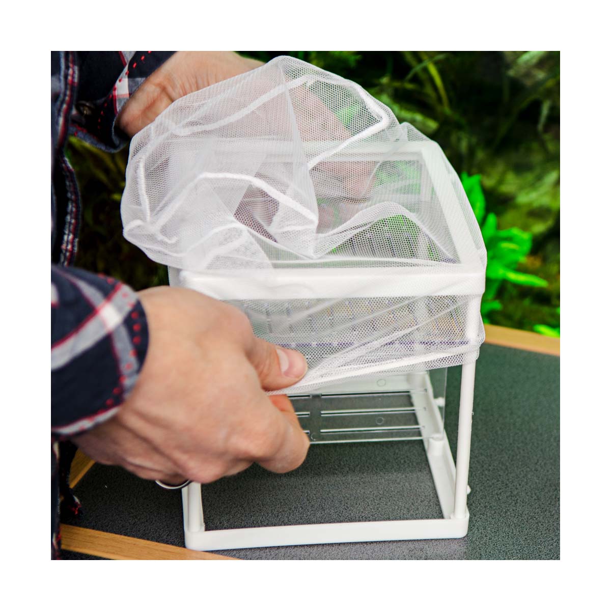 Hobby Ablaichbehälter Nido 3.1 günstig kaufen