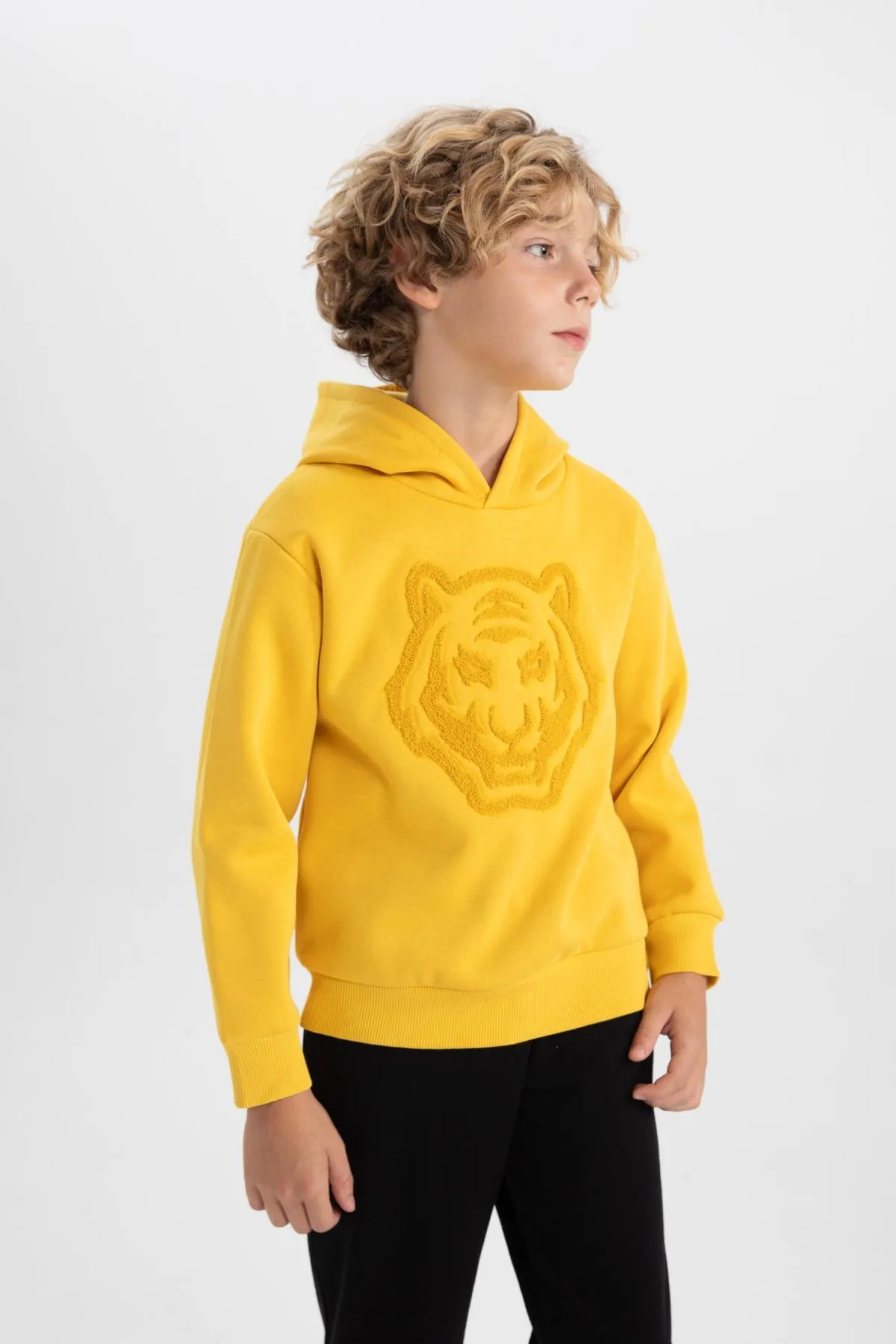 DeFacto  Dickes Kapuzen-Sweatshirt mit regulärer Passform für Jungen