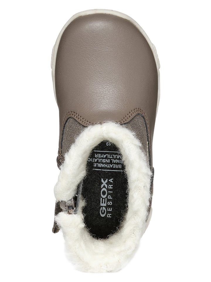 Geox Boots 