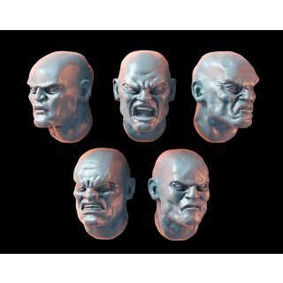Bald Bushi Heads (5)