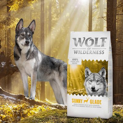 Wolf of Wilderness Adult 