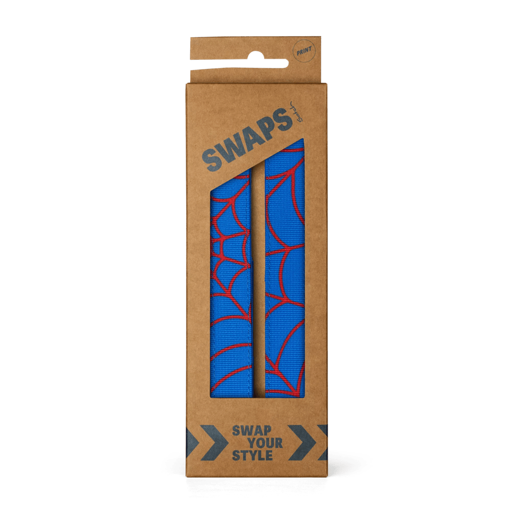 SWAPS Spider Web