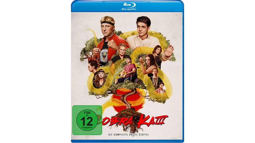 Cobra Kai - Staffel 3