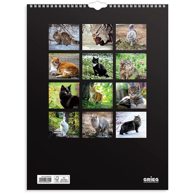 Veggkalender katter 2025