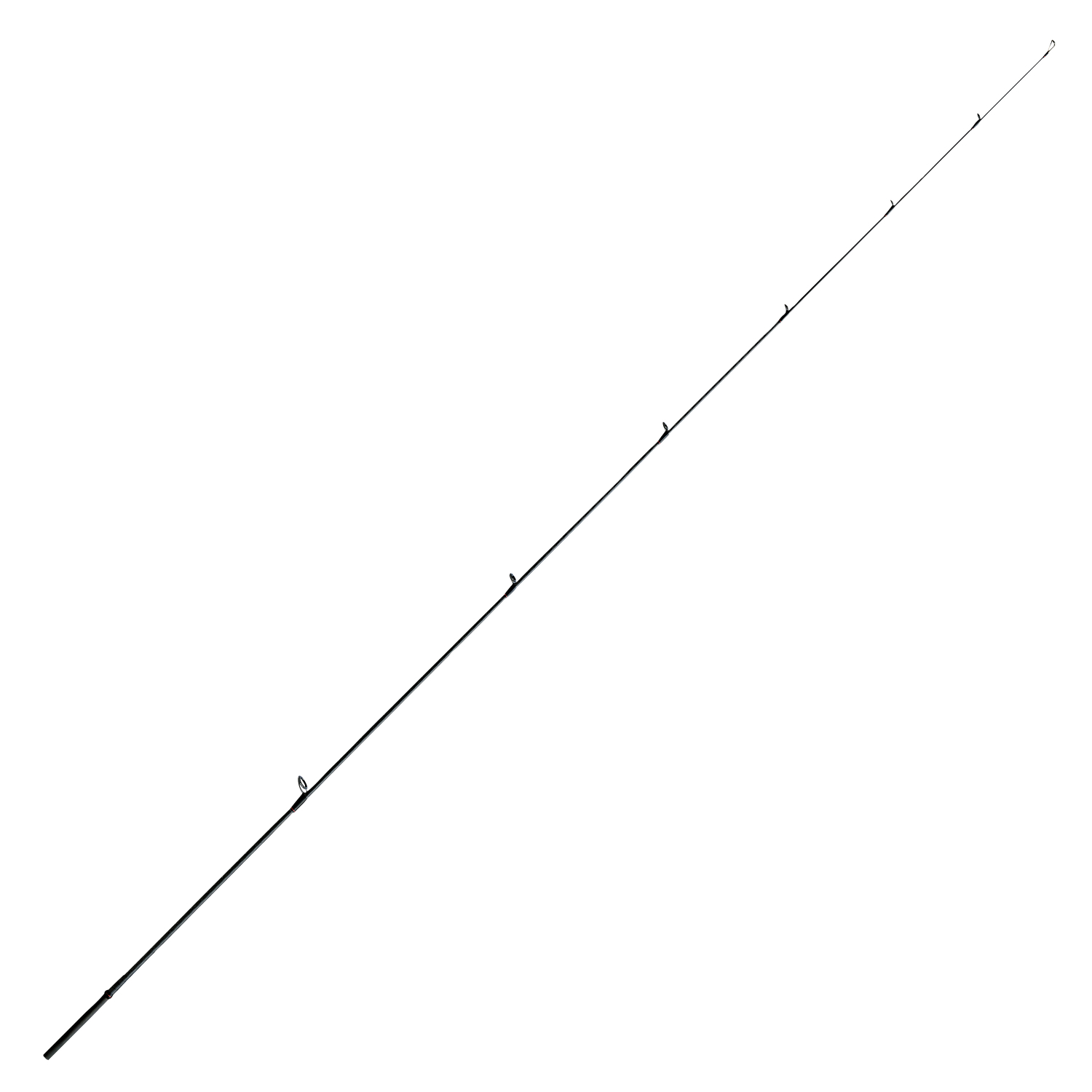 Shimano Angelrute Zodias (Spinning)