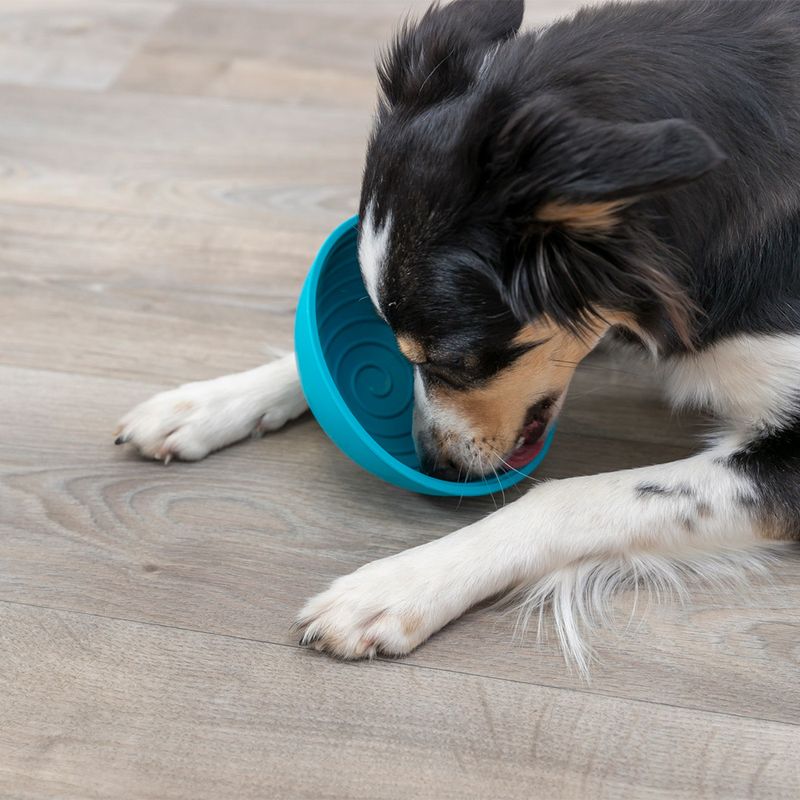 Trixie Lick'n'Snack Bowl zu TOP-Preisen
