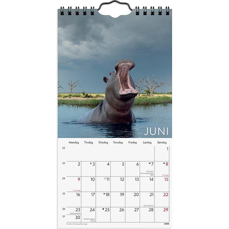 Veggkalender wild animals 2025