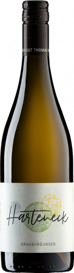 2021 Grauburgunder “Klassisch“ trocken Bio - Weingut Harteneck