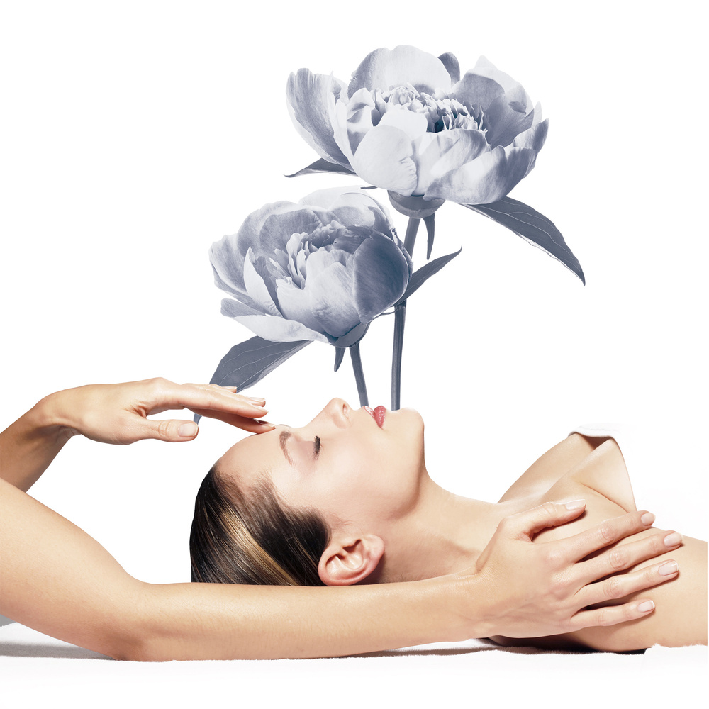DR Renaud PRESCRIPTION VEGETALE - EXPERT PURIFIANT PRO-JEUNESSE Soin Visage Pureté DR Renaud 1h