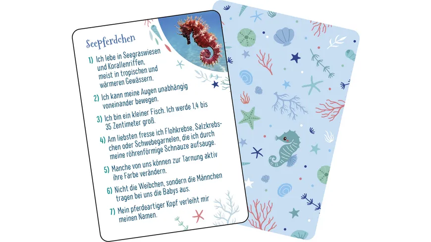 Kennst du das Meer?