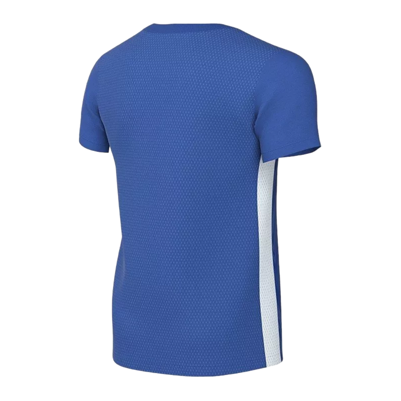 Nike Challenge V Trikot Kids Blau Weiss F463