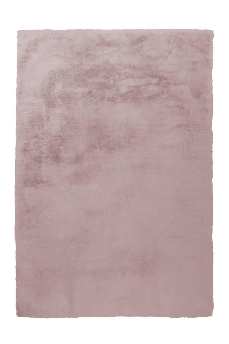 Arte Espina Teppich Rabbit 100