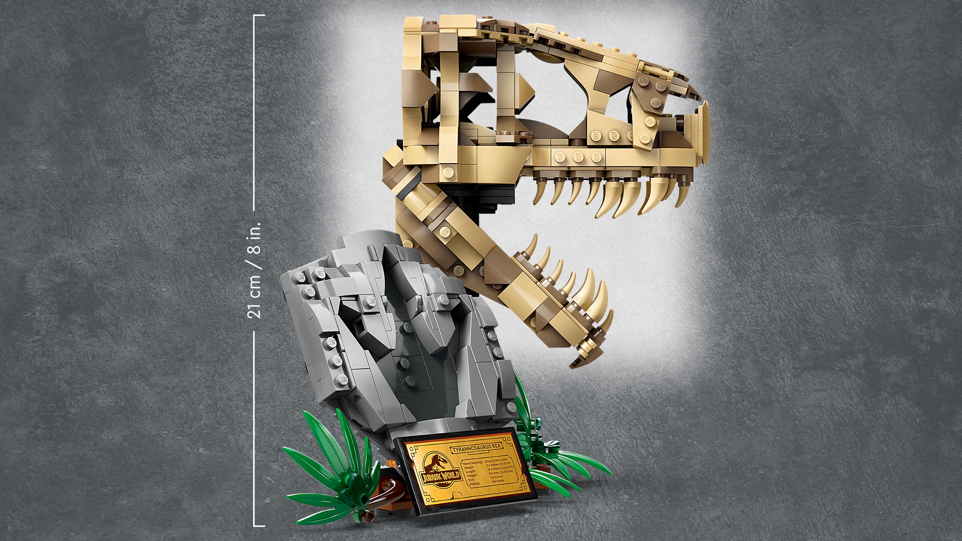 Dinosaurier-Fossilien: T.-rex-Kopf 76964