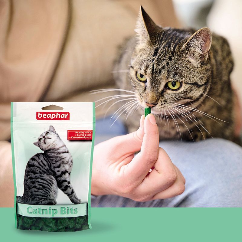 Beaphar Catnip-Bits zu TOP-Preisen