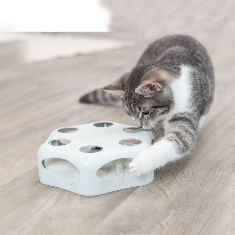 Trixie Katzenspielzeug Turning Feather zu TOP-Preisen | bitiba %