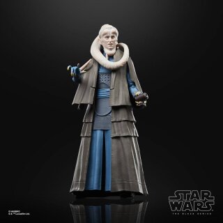 Star Wars Episode VI 40th Anniversary Black Series Actionfigur: Bib Fortuna