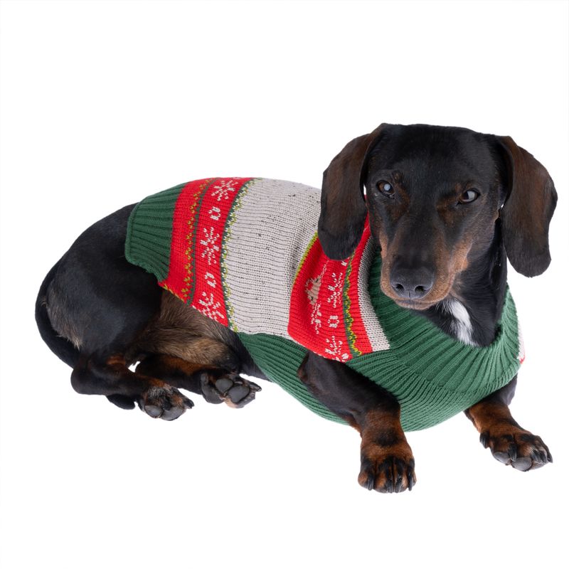 TIAKI Hundepullover Rentier Dreifarbig zu TOP-Preisen | bitiba %