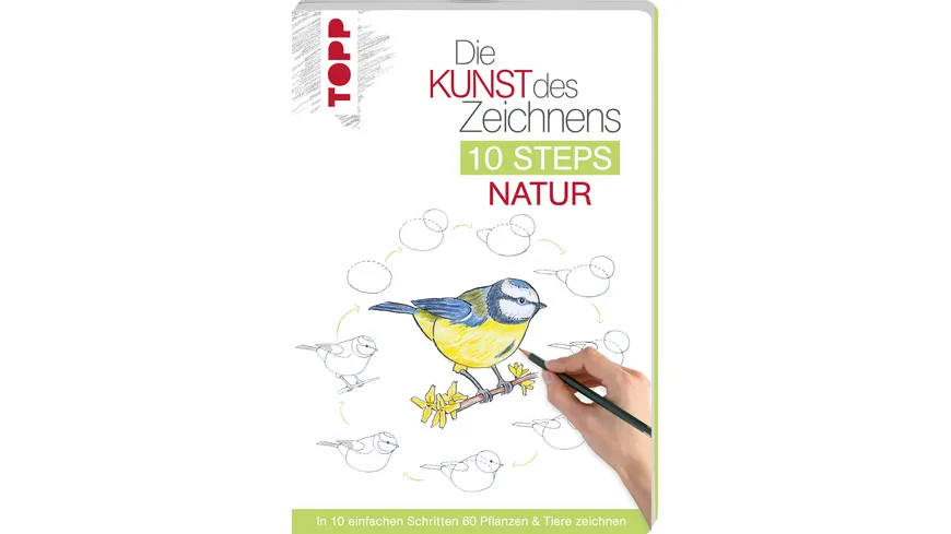 Die Kunst des Zeichnens 10 Steps - Natur In 10 einfachen Schritten 60 Pflanzen & Tiere zeichnen