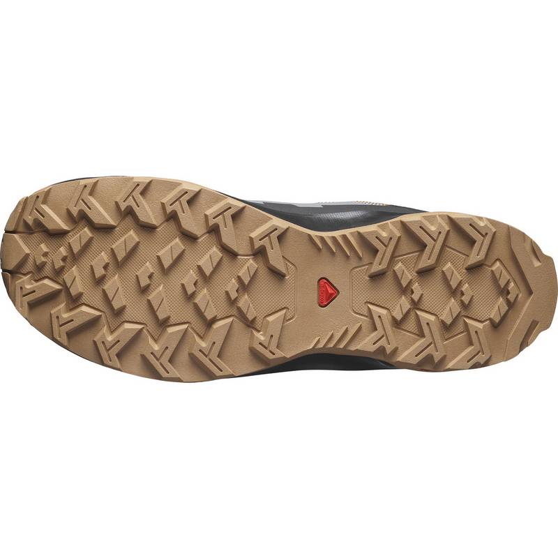 Salomon ARDENT Wanderschuhe Herren