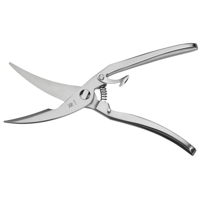 GeflÜgelschere, 25 cm