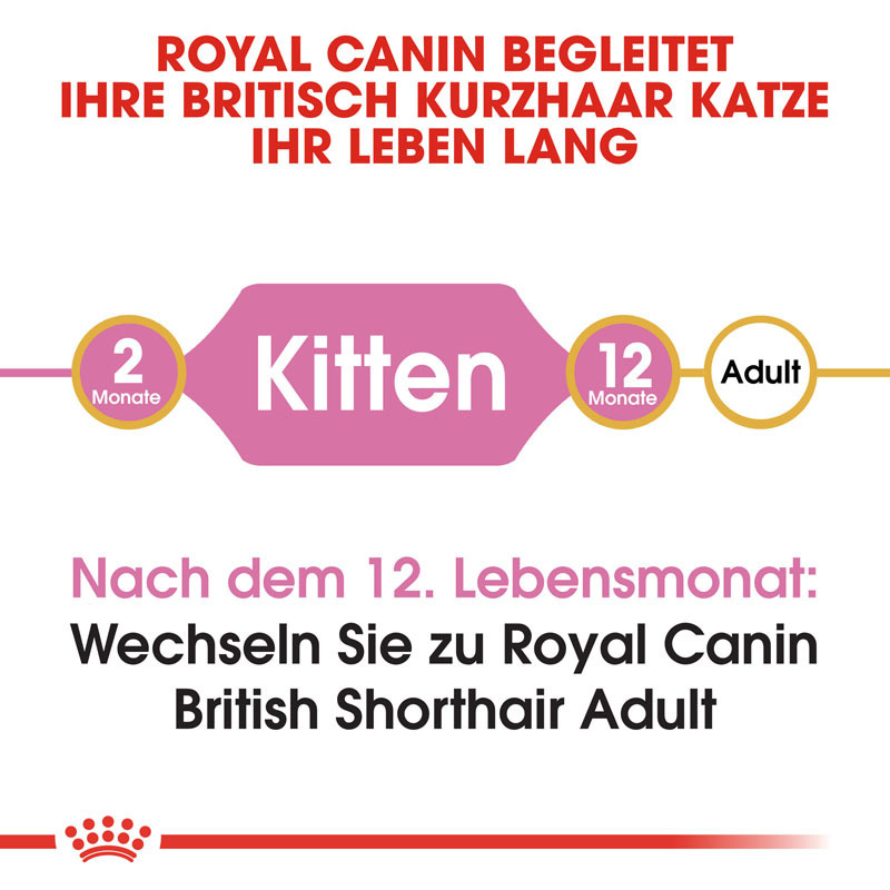 ROYAL CANIN Trockenfutter ROYAL CANIN British Shorthair Kitten 2 kg