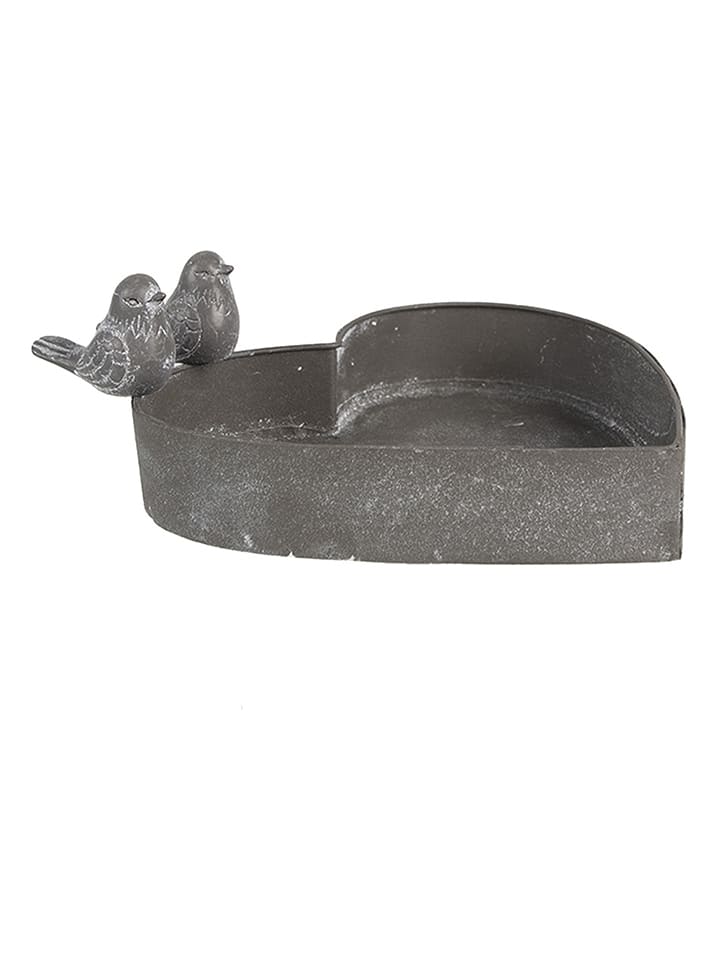 Clayre & Eef Pflanzenhalter in Grau - (B)19 x (H)7 x (T)17 cm günstig kaufen onesize