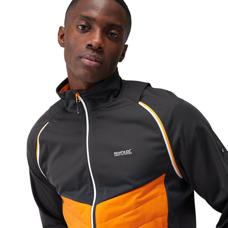 Regatta Steren Funktionsjacke Herren