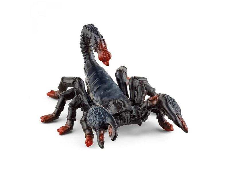 Scorpion