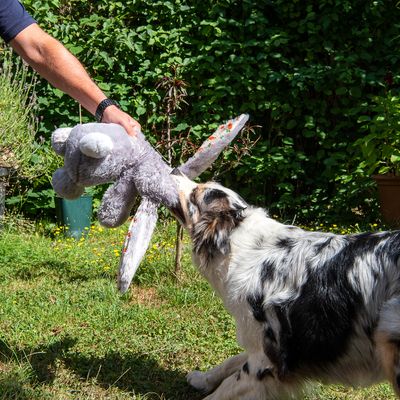 Hundespielzeug Elsie