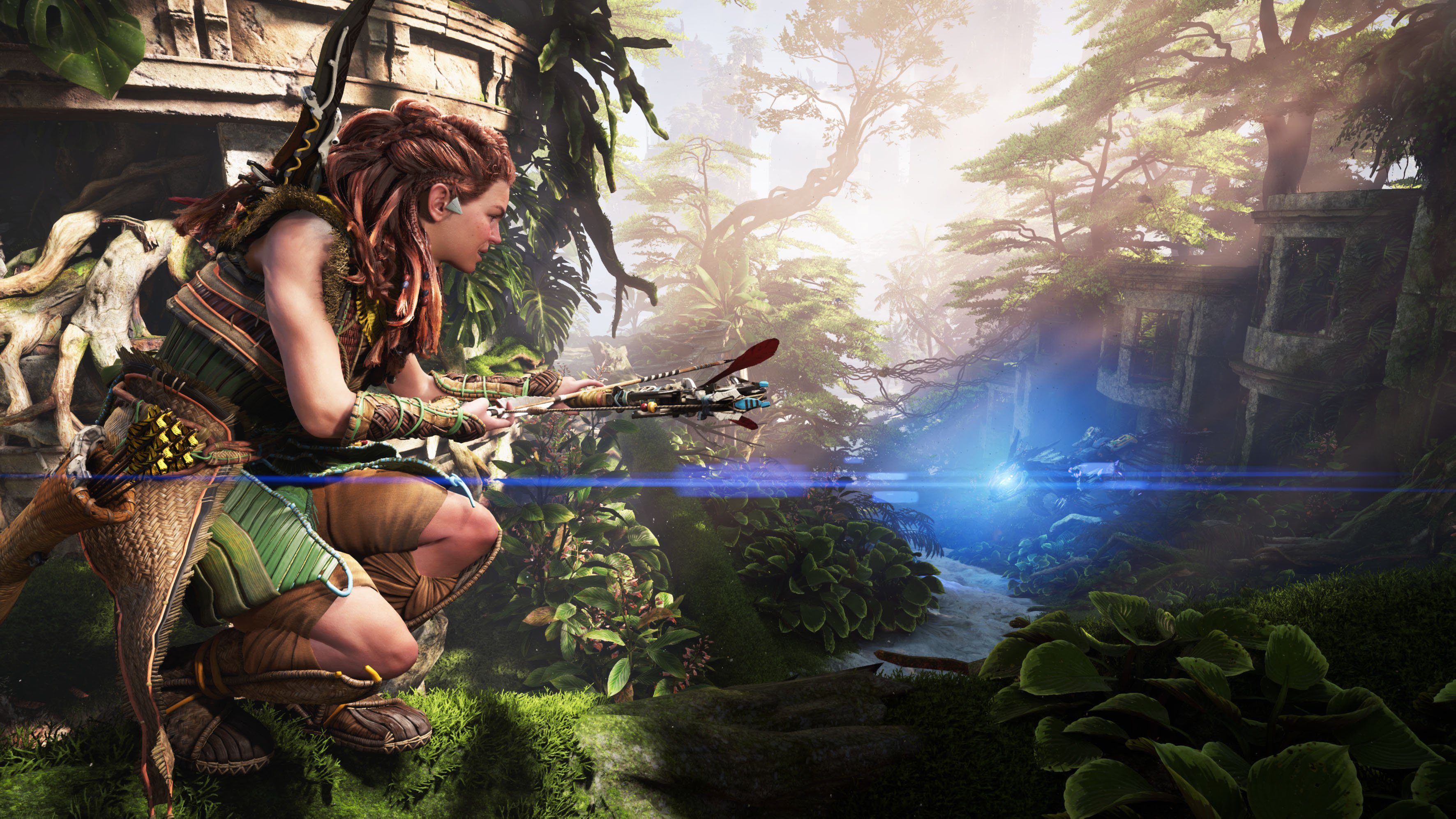 Horizon Forbidden West PlayStation 5