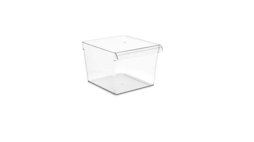 rotho Kühlschrankorganizer quadrartisch 5l Loft