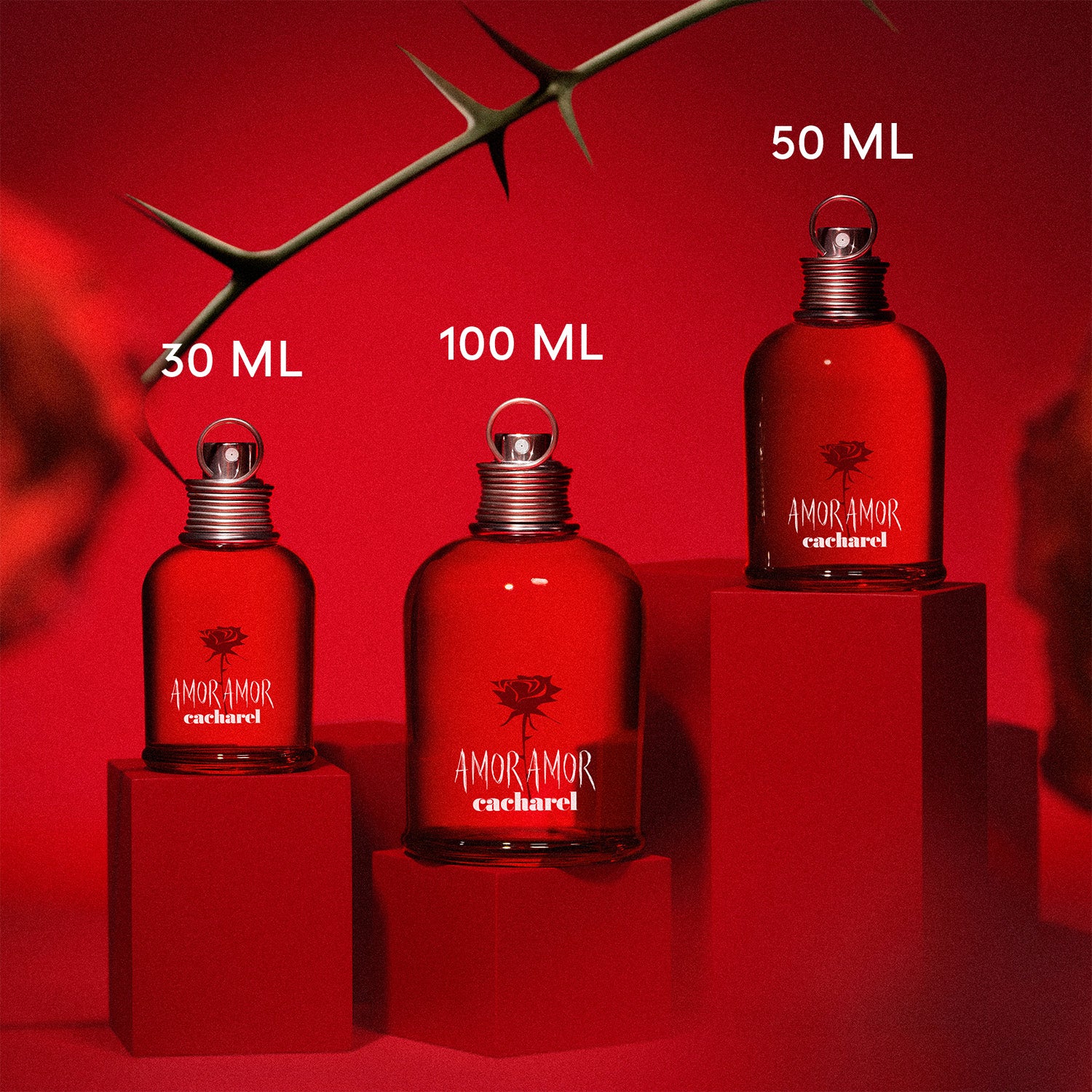 Amor Amor Amor Amor - Eau de Toilette