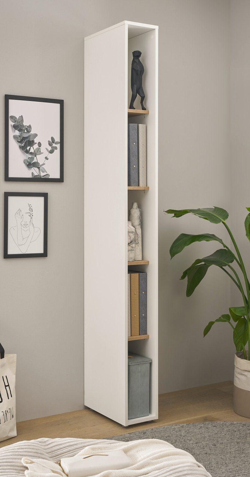 Furn.Design Aktenregal Center, Regalschrank in weiß mit Wotan Eiche, mit 5 Ordnerhöhen