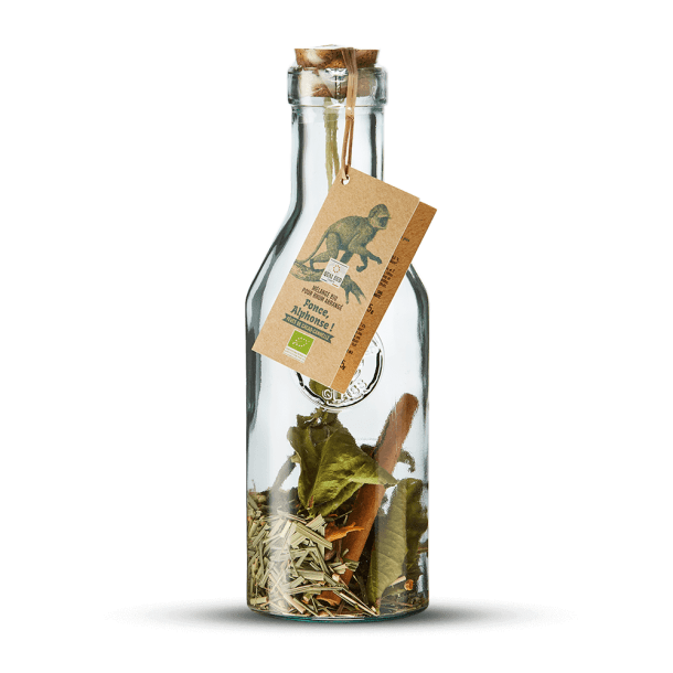 Mélange pour Cocktail Arrangé en Carafe 