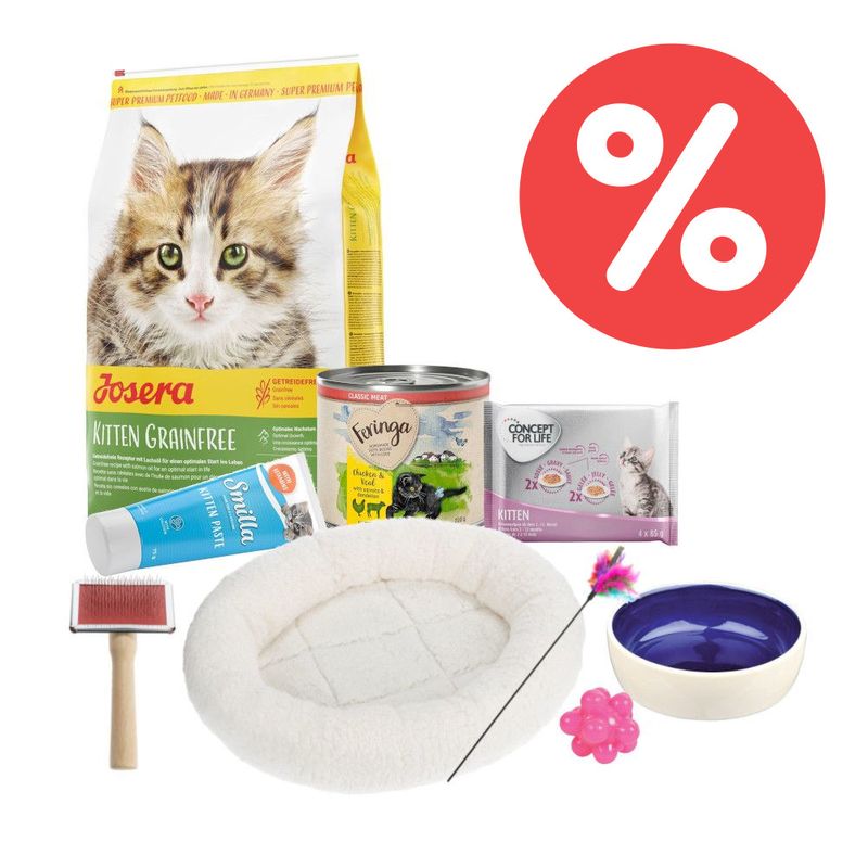 Kitten-Starterpaket 9-teilig zu TOP-Preisen