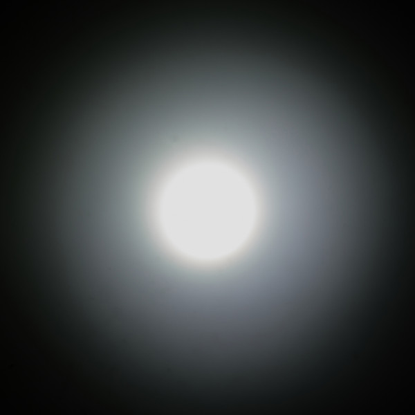 NU31