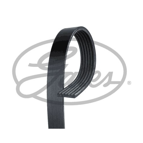 GATES KEILRIPPENRIEMEN 6PK1685 - ATU