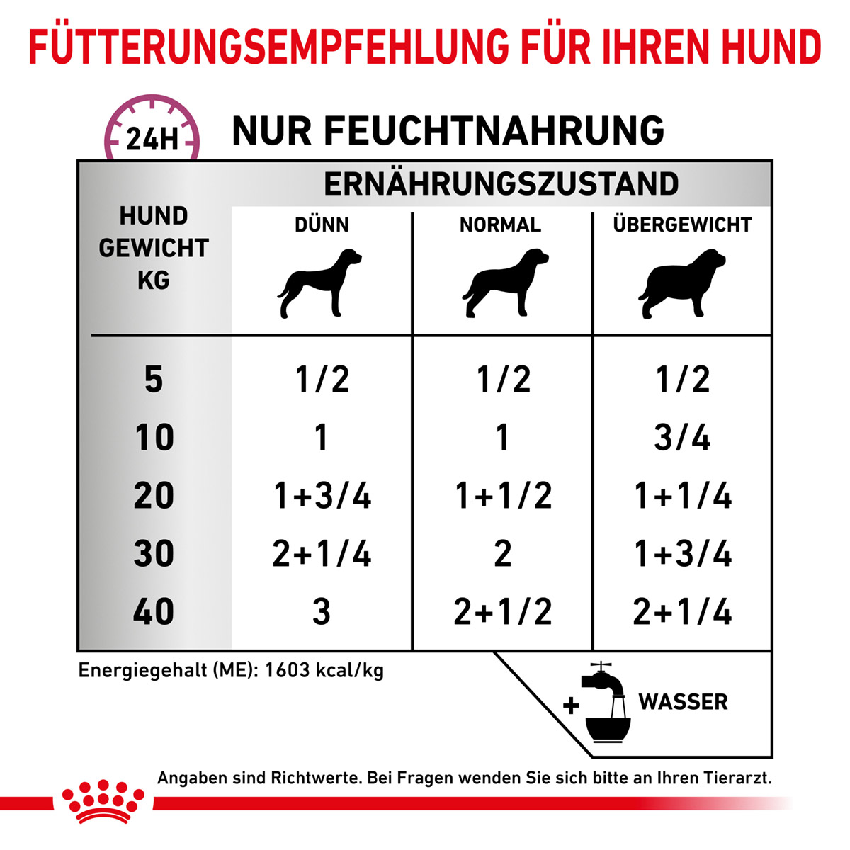 ROYAL CANIN Veterinary RENAL SPECIAL Nassfutter für Hunde