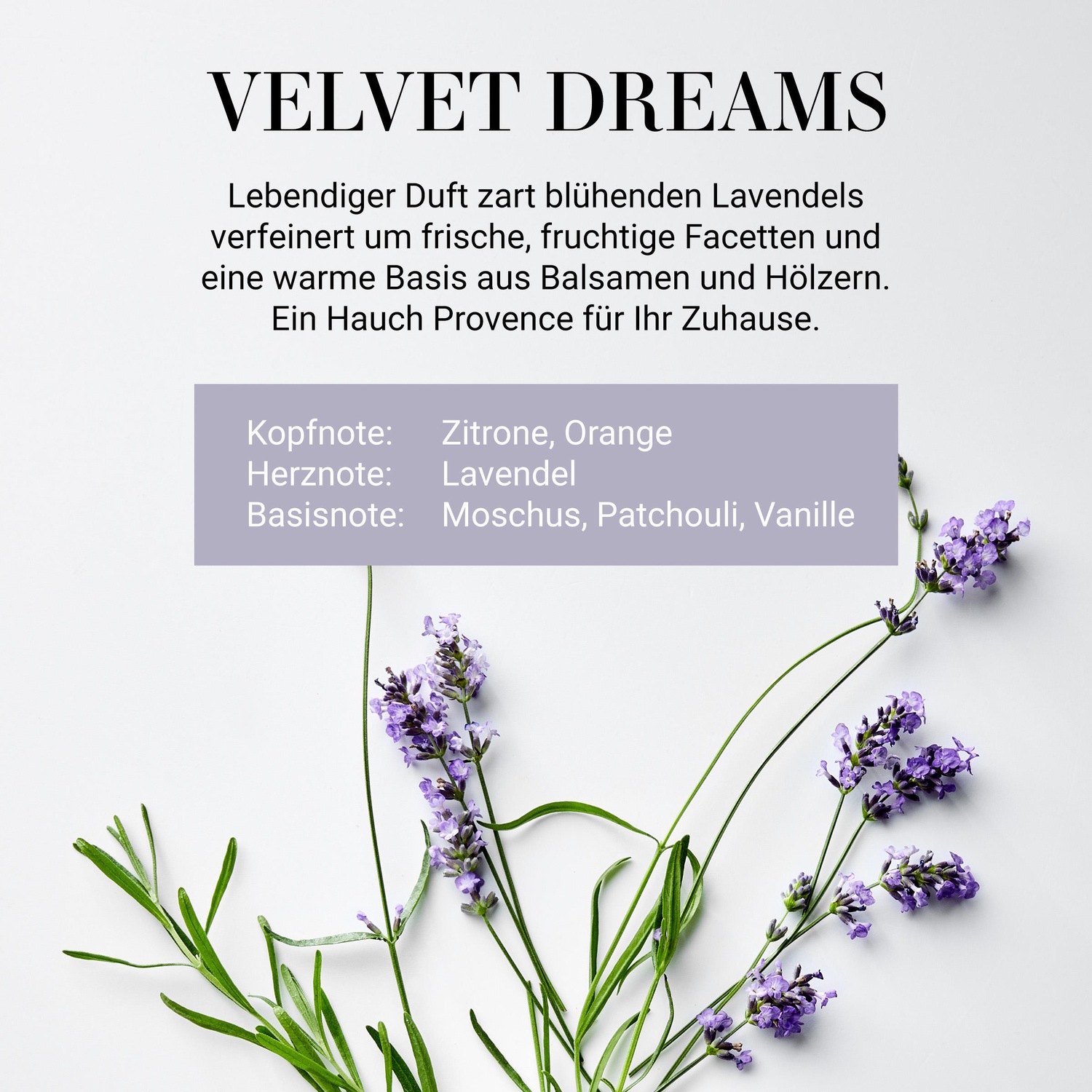ESSENCE Duftöl No 3 