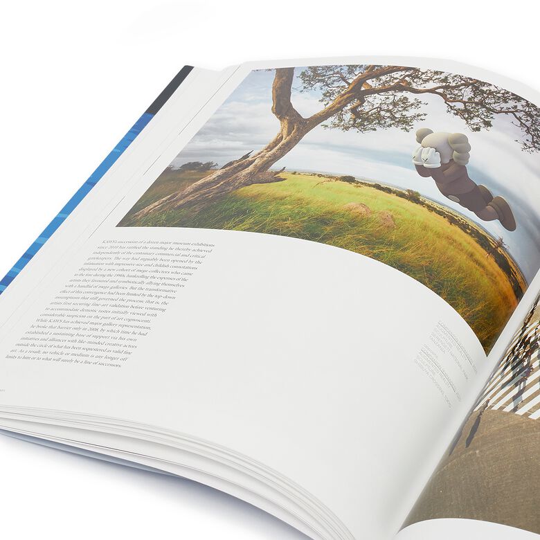 Phaidon Kaws - Contemporary Artists Series multicolor