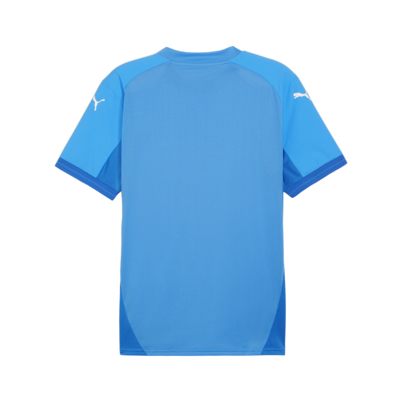 PUMA teamFINAL Trikot Blau Weiss Blau F02