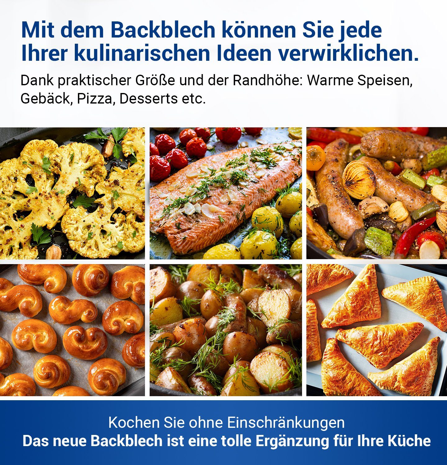 VIOKS Backblech Fettpfanne Ersatz für AEG 14002469802/3, emailliert, hoch 466x385x38mm für Backofen