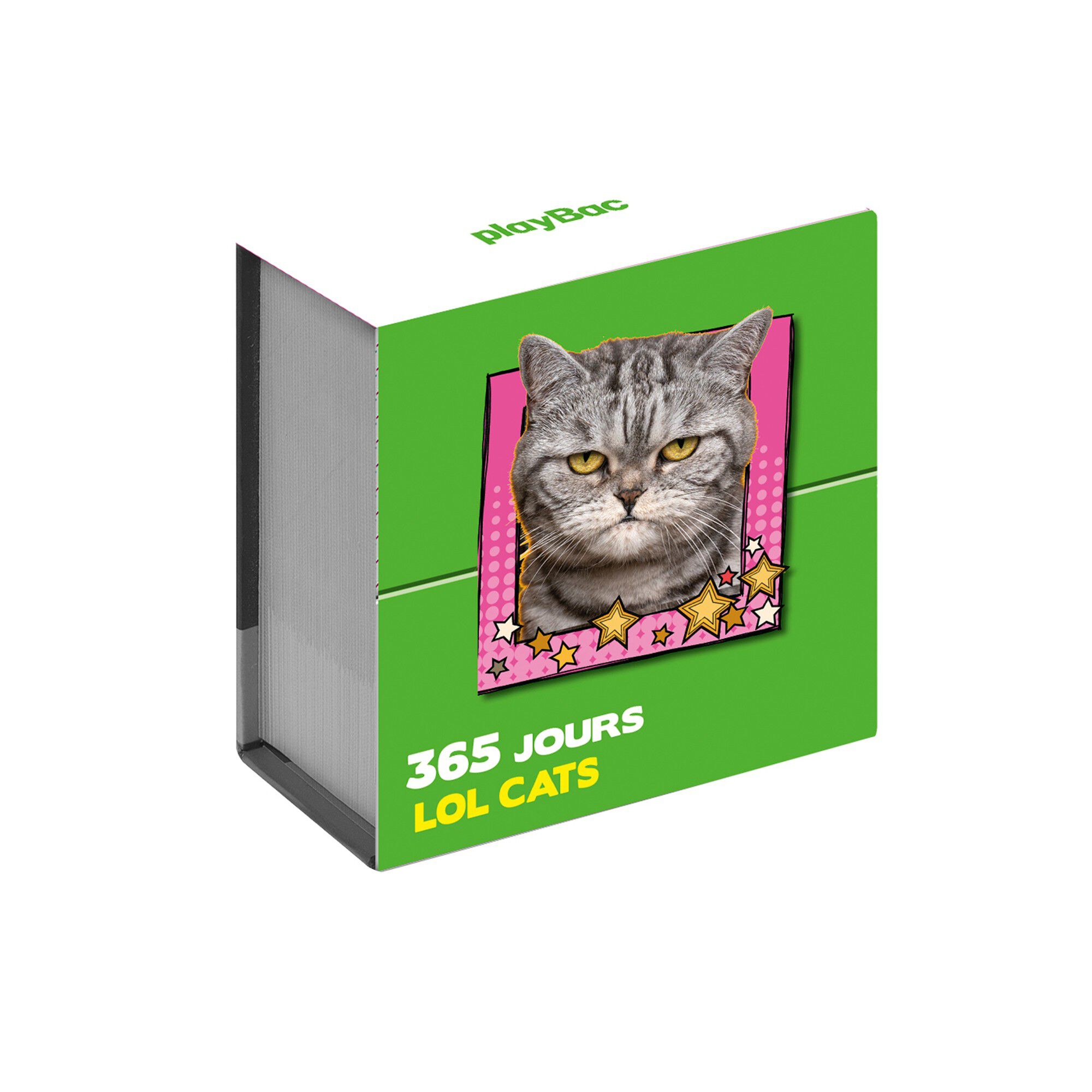 Calendrier 365 jours 