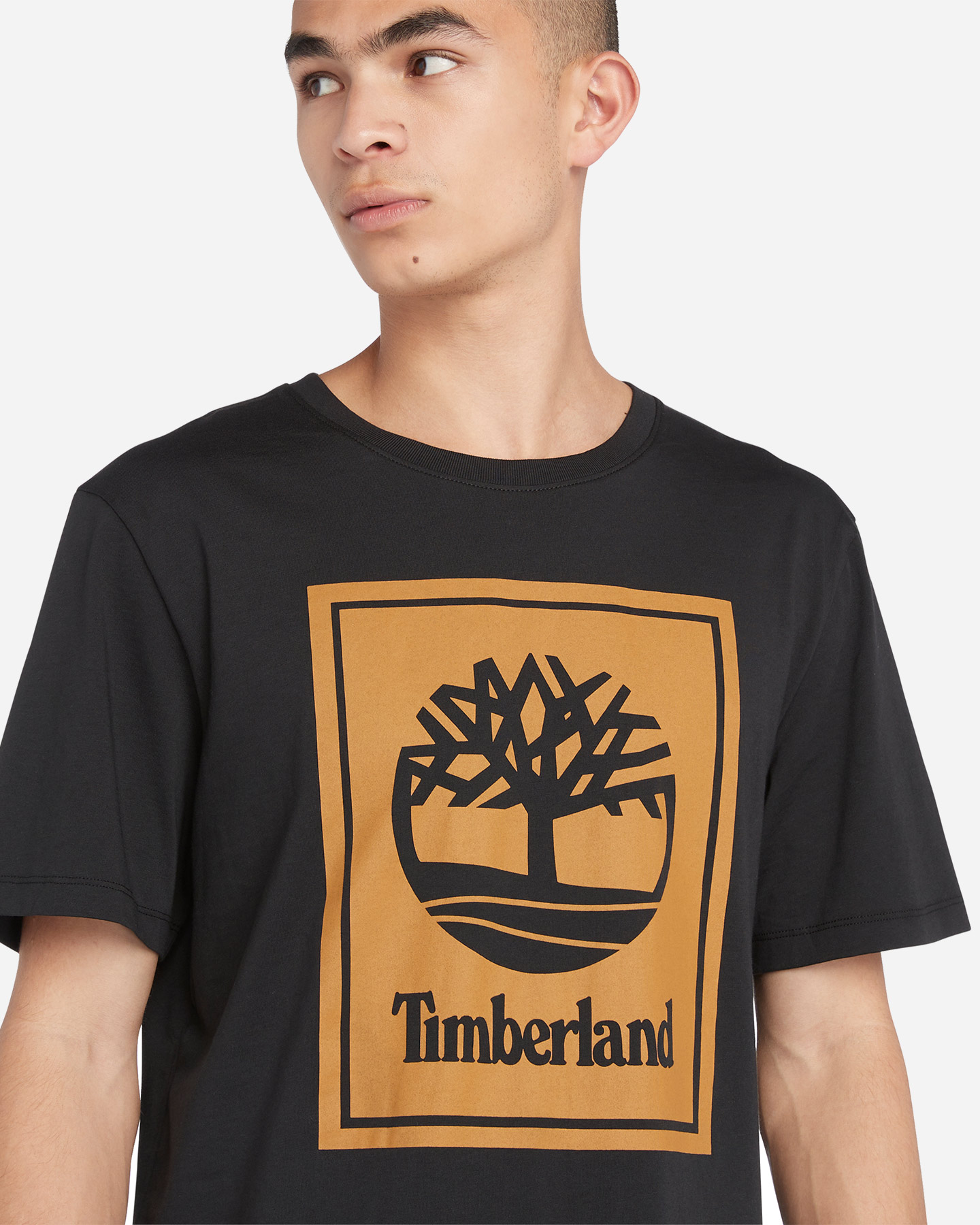 Koszulka Timberland Stack Logo M TB0A5WQQP561