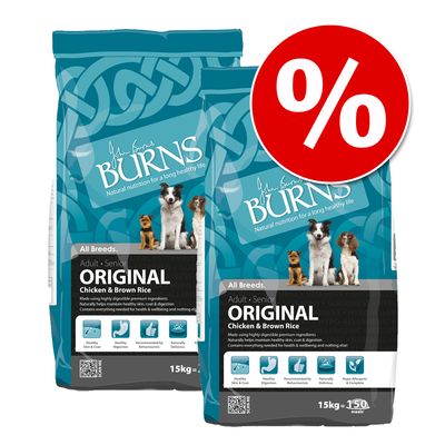 Sparpaket Burns 2 x Großgebinde